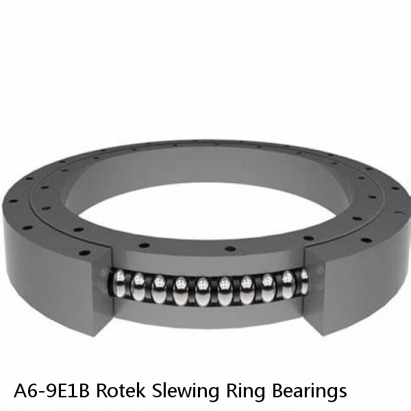 A6-9E1B Rotek Slewing Ring Bearings