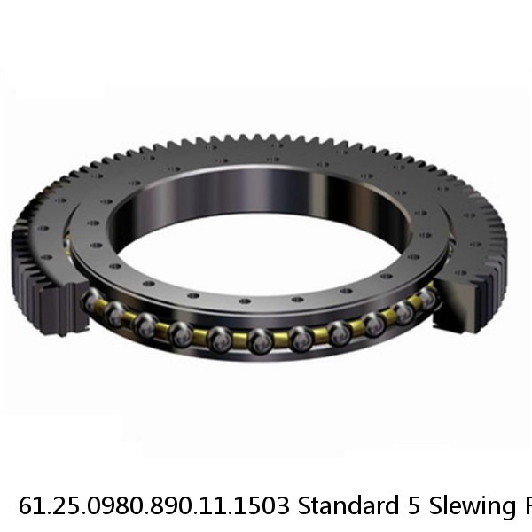 61.25.0980.890.11.1503 Standard 5 Slewing Ring Bearings