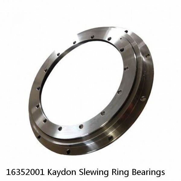 16352001 Kaydon Slewing Ring Bearings #1 small image