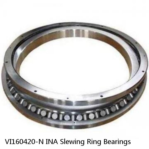 VI160420-N INA Slewing Ring Bearings #1 small image