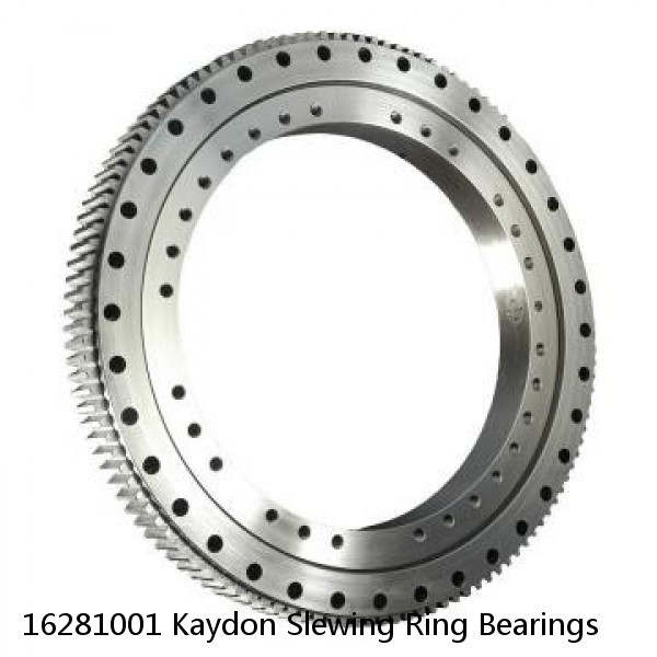 16281001 Kaydon Slewing Ring Bearings #1 small image