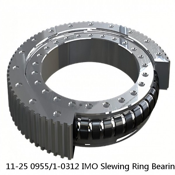 11-25 0955/1-0312 IMO Slewing Ring Bearings #1 small image