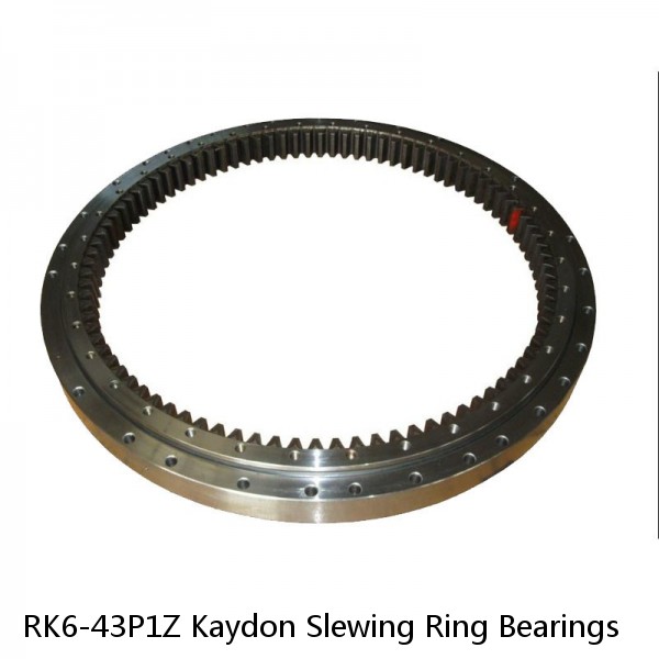 RK6-43P1Z Kaydon Slewing Ring Bearings #1 small image