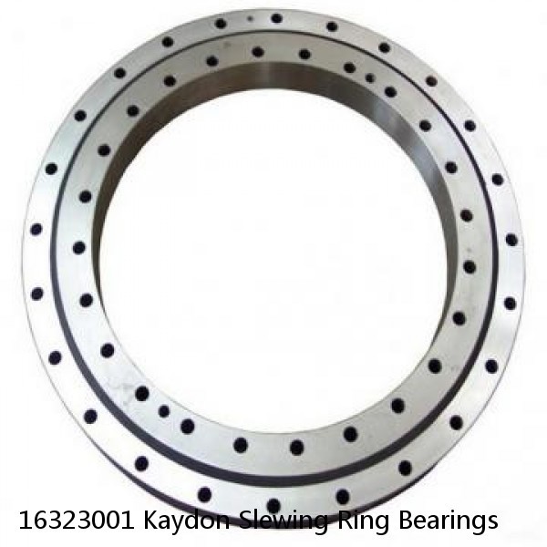 16323001 Kaydon Slewing Ring Bearings #1 small image