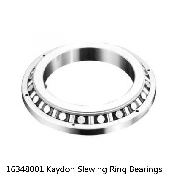 16348001 Kaydon Slewing Ring Bearings #1 small image