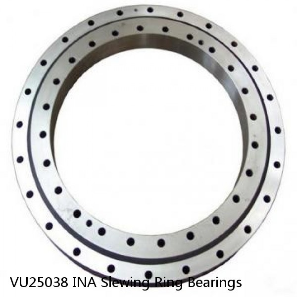 VU25038 INA Slewing Ring Bearings #1 small image