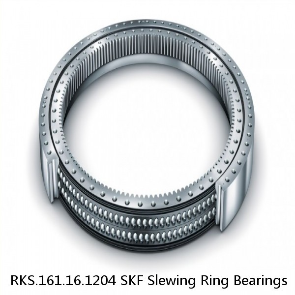 RKS.161.16.1204 SKF Slewing Ring Bearings #1 small image