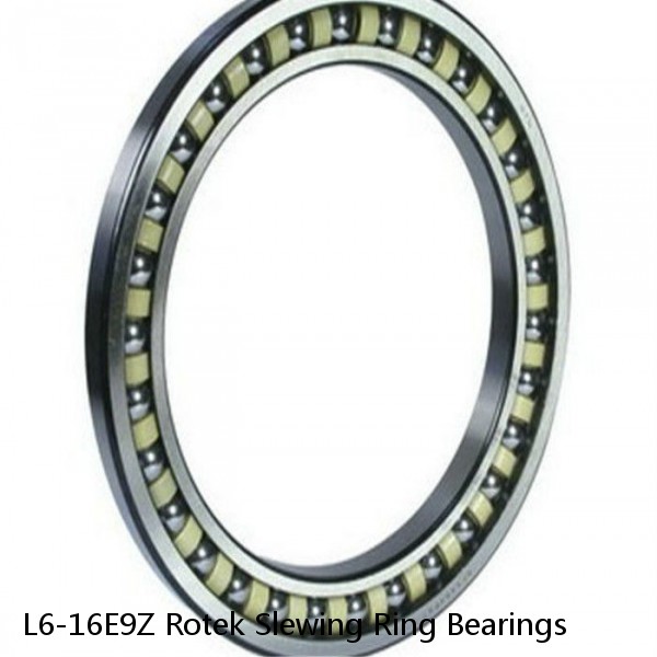 L6-16E9Z Rotek Slewing Ring Bearings #1 small image