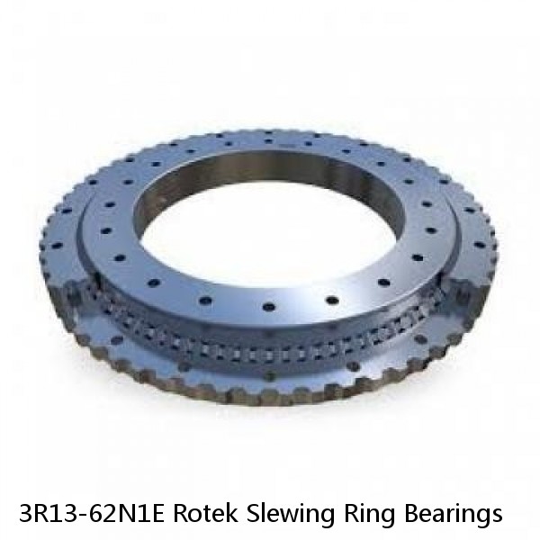 3R13-62N1E Rotek Slewing Ring Bearings #1 small image