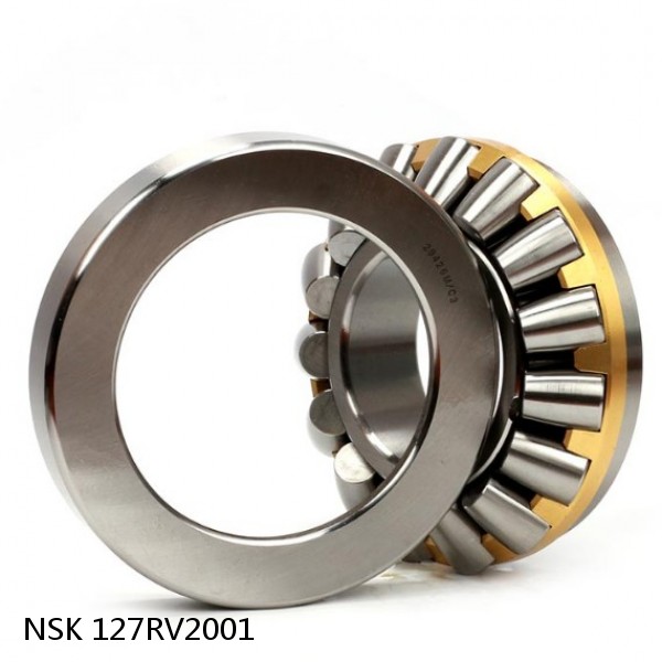 127RV2001 NSK Four-Row Cylindrical Roller Bearing #1 small image