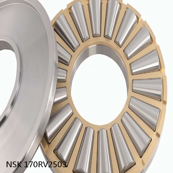 170RV2503 NSK Four-Row Cylindrical Roller Bearing #1 small image