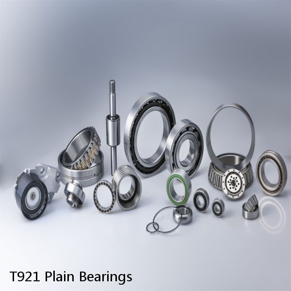 T921 Plain Bearings #1 image