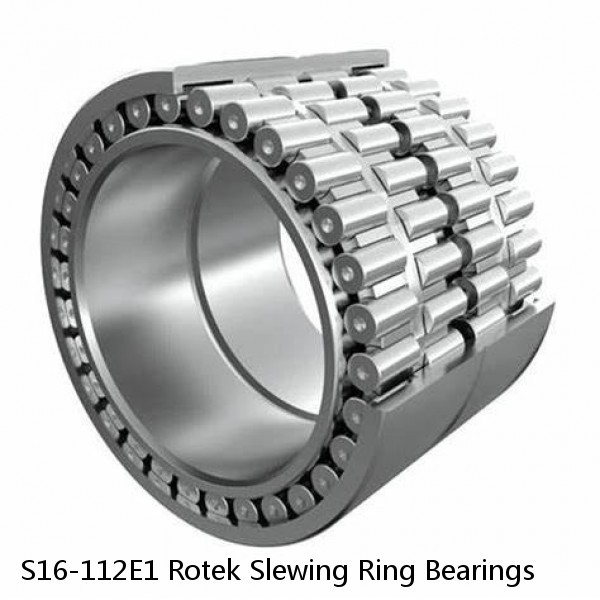 S16-112E1 Rotek Slewing Ring Bearings #1 image