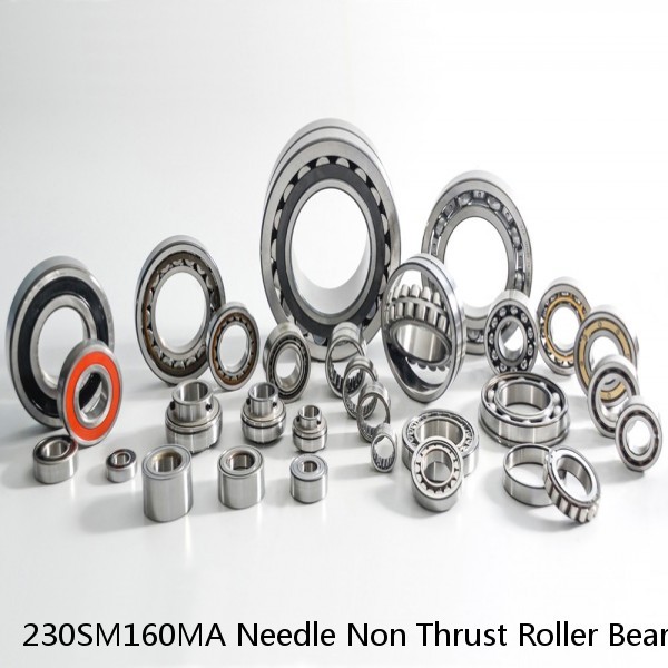 230SM160MA Needle Non Thrust Roller Bearings #1 image