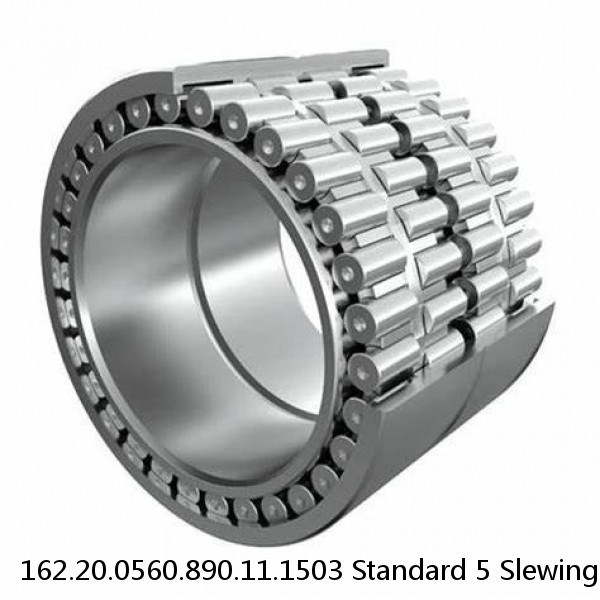 162.20.0560.890.11.1503 Standard 5 Slewing Ring Bearings #1 image