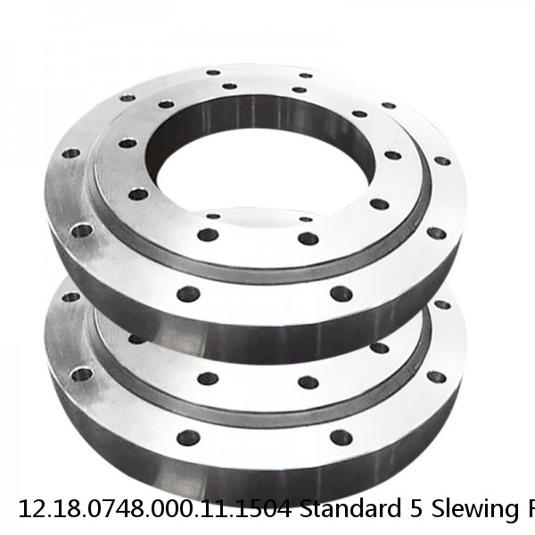 12.18.0748.000.11.1504 Standard 5 Slewing Ring Bearings #1 image