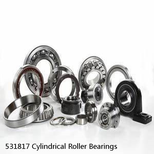 531817 Cylindrical Roller Bearings #1 image