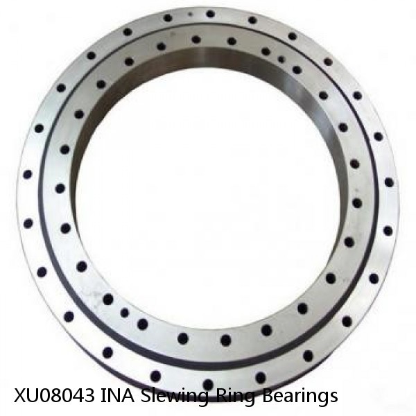 XU08043 INA Slewing Ring Bearings #1 image