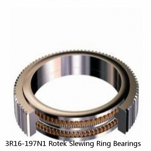 3R16-197N1 Rotek Slewing Ring Bearings #1 image