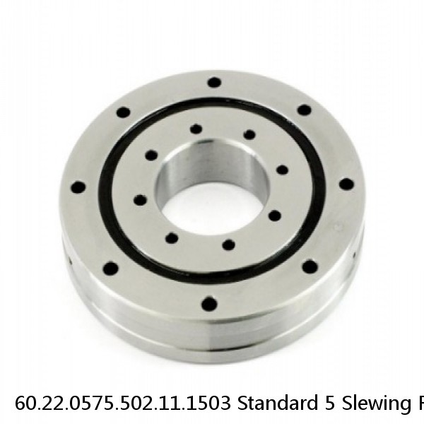 60.22.0575.502.11.1503 Standard 5 Slewing Ring Bearings #1 image