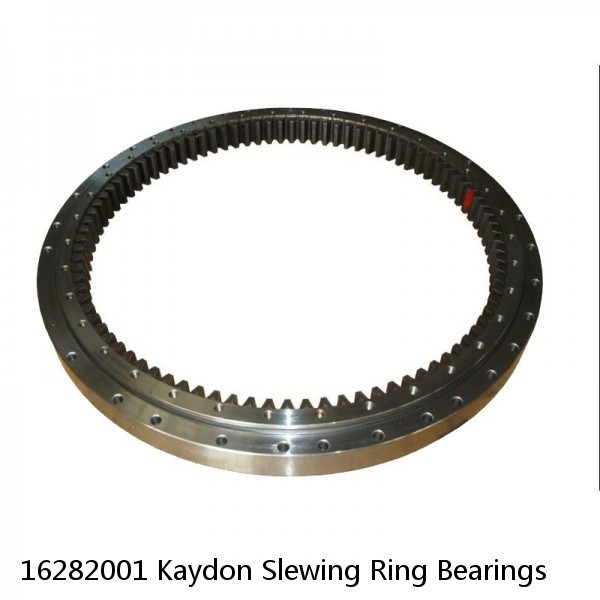 16282001 Kaydon Slewing Ring Bearings #1 image