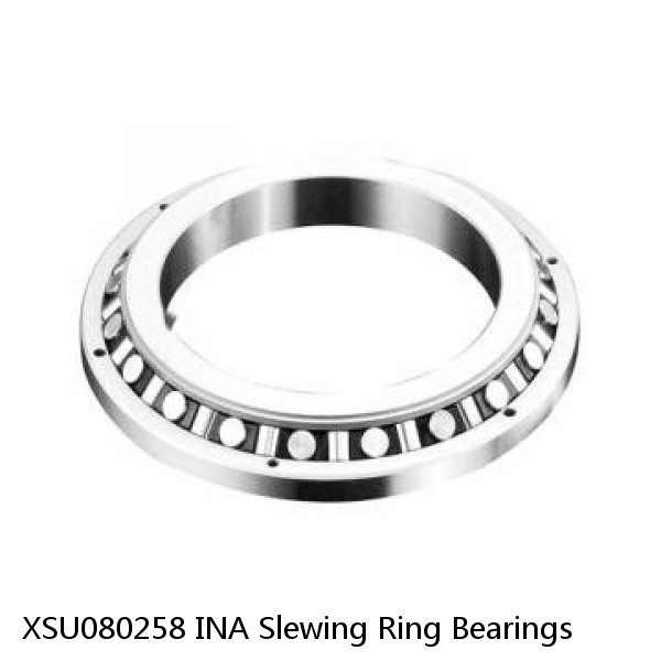 XSU080258 INA Slewing Ring Bearings #1 image