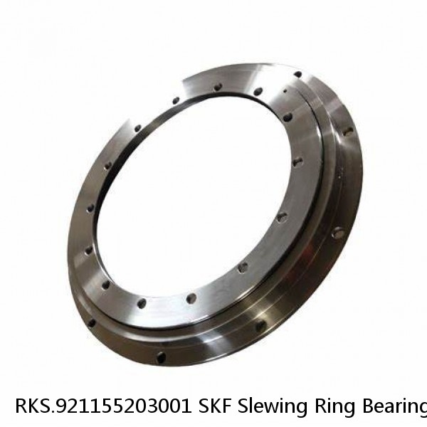 RKS.921155203001 SKF Slewing Ring Bearings #1 image