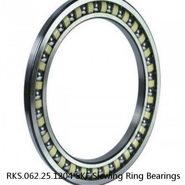 RKS.062.25.1204 SKF Slewing Ring Bearings #1 image