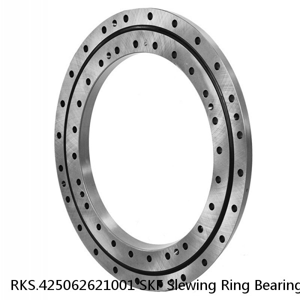 RKS.425062621001 SKF Slewing Ring Bearings #1 image