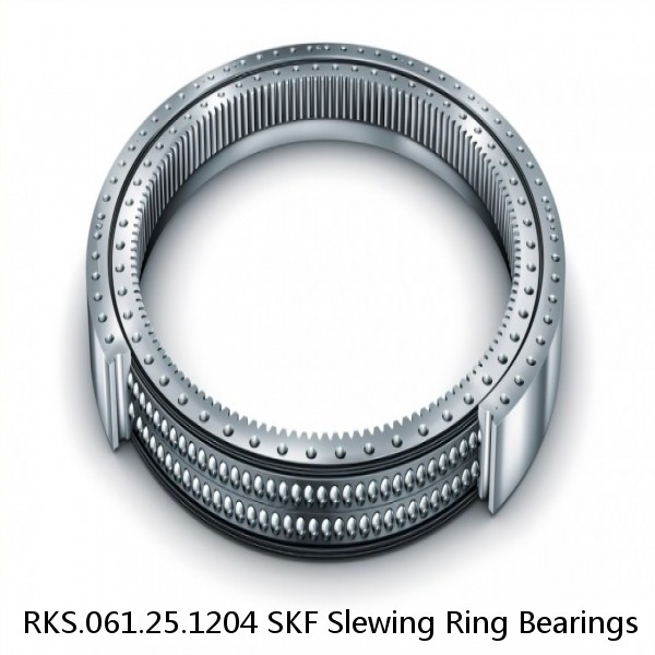 RKS.061.25.1204 SKF Slewing Ring Bearings #1 image