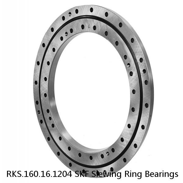 RKS.160.16.1204 SKF Slewing Ring Bearings #1 image