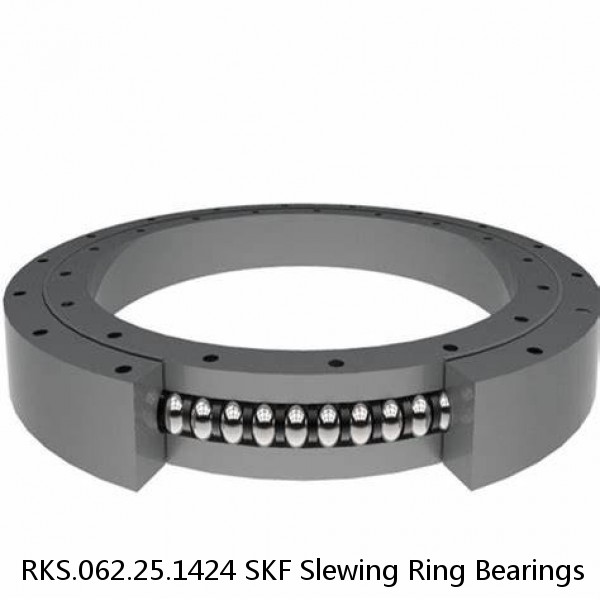 RKS.062.25.1424 SKF Slewing Ring Bearings #1 image