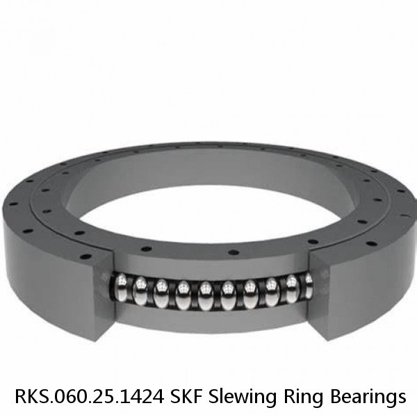 RKS.060.25.1424 SKF Slewing Ring Bearings #1 image