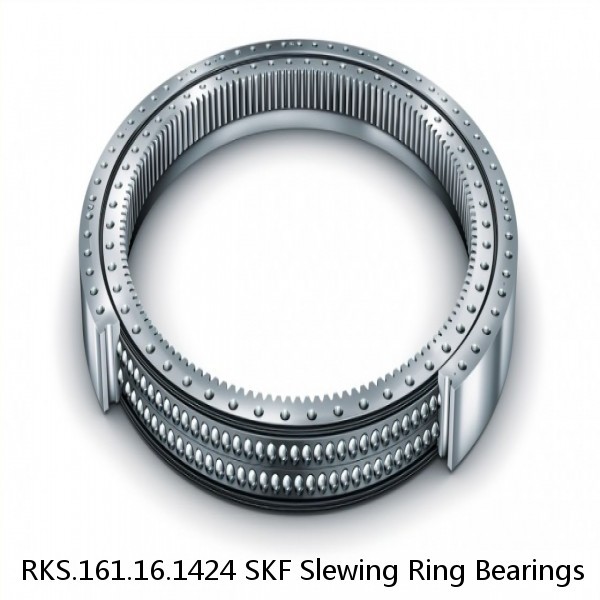 RKS.161.16.1424 SKF Slewing Ring Bearings #1 image