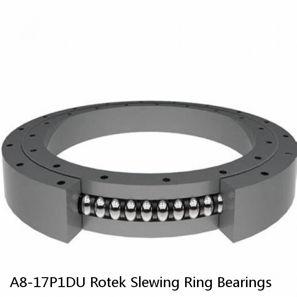 A8-17P1DU Rotek Slewing Ring Bearings #1 image