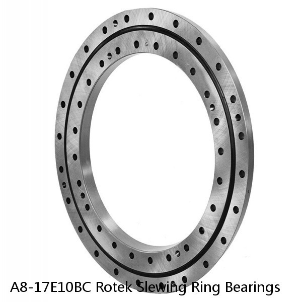 A8-17E10BC Rotek Slewing Ring Bearings #1 image