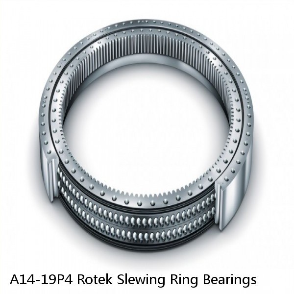 A14-19P4 Rotek Slewing Ring Bearings #1 image