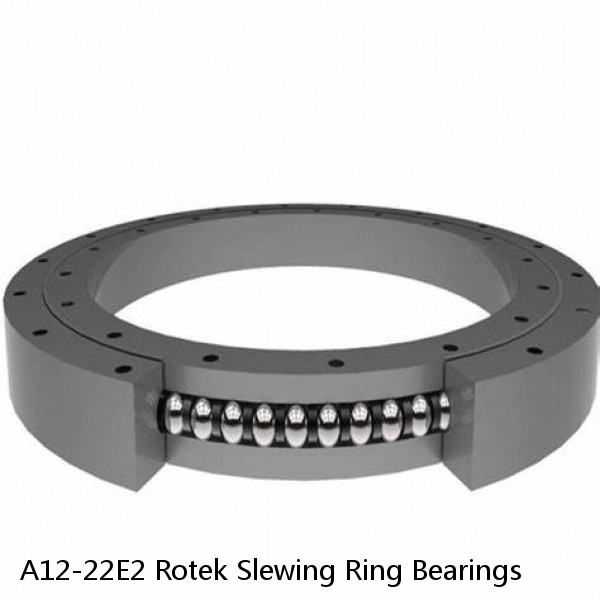 A12-22E2 Rotek Slewing Ring Bearings #1 image