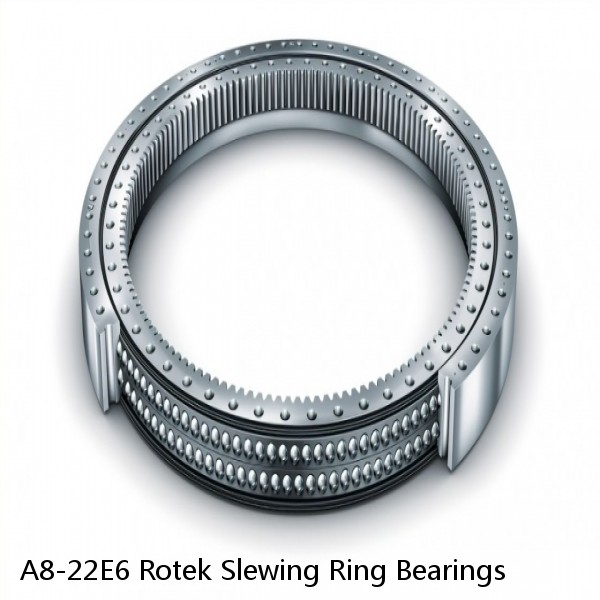 A8-22E6 Rotek Slewing Ring Bearings #1 image