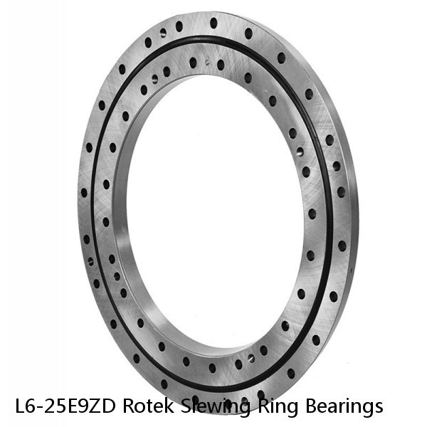 L6-25E9ZD Rotek Slewing Ring Bearings #1 image