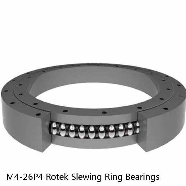 M4-26P4 Rotek Slewing Ring Bearings #1 image