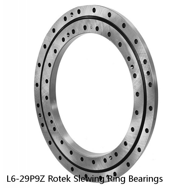 L6-29P9Z Rotek Slewing Ring Bearings #1 image