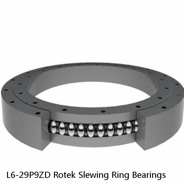 L6-29P9ZD Rotek Slewing Ring Bearings #1 image