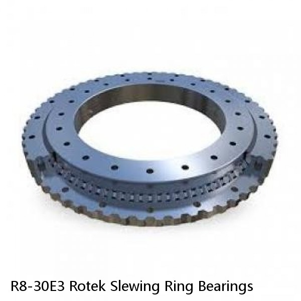 R8-30E3 Rotek Slewing Ring Bearings #1 image