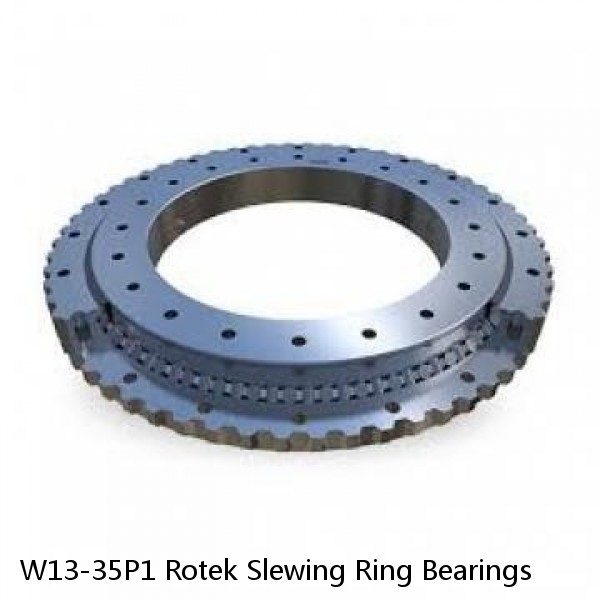 W13-35P1 Rotek Slewing Ring Bearings #1 image