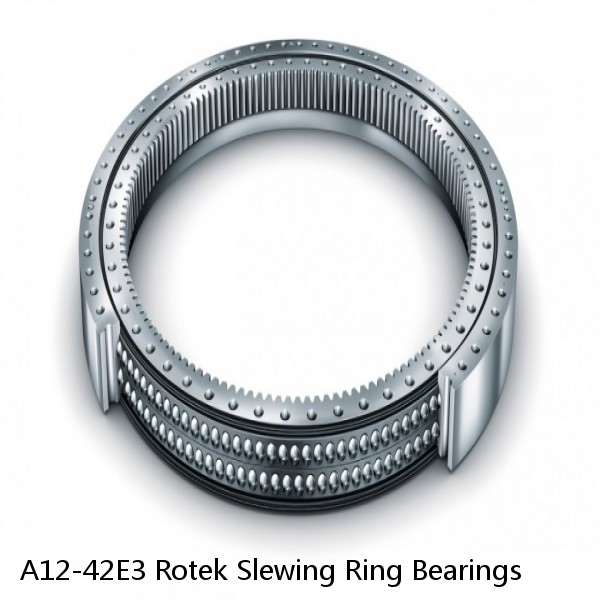 A12-42E3 Rotek Slewing Ring Bearings #1 image