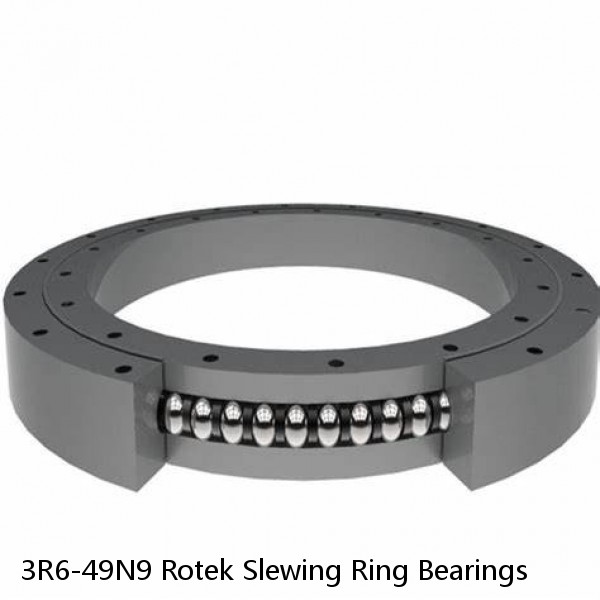 3R6-49N9 Rotek Slewing Ring Bearings #1 image