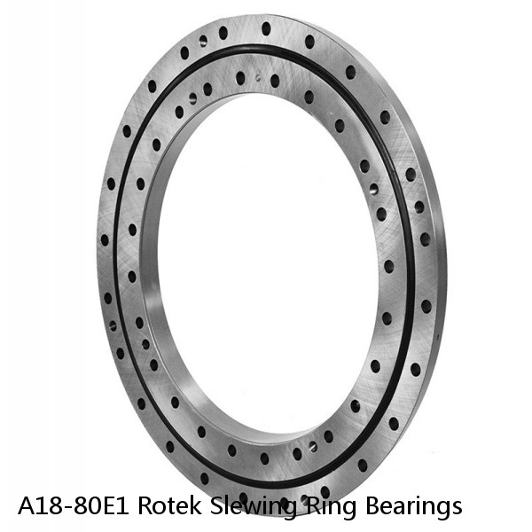 A18-80E1 Rotek Slewing Ring Bearings #1 image