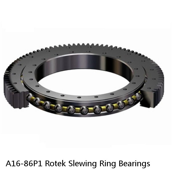 A16-86P1 Rotek Slewing Ring Bearings #1 image