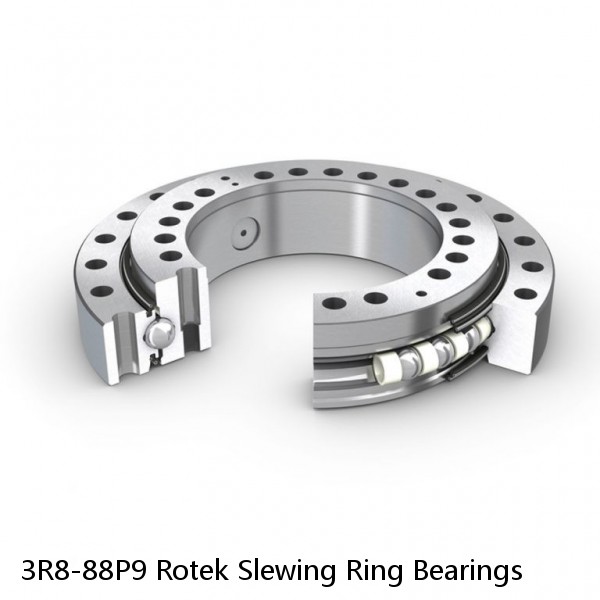 3R8-88P9 Rotek Slewing Ring Bearings #1 image